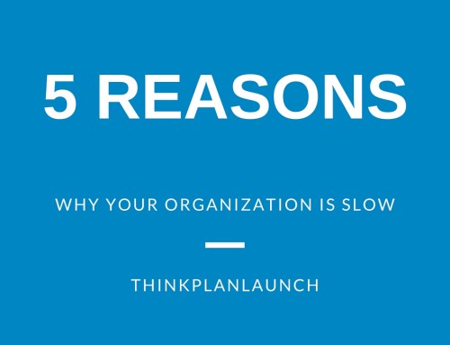 5 Reasons Why Your Organization is Slow